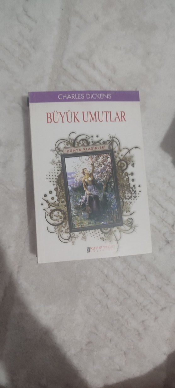 Son Yaprak - O. Henry Roman - Görsel 4