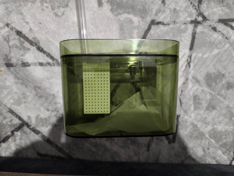 Kedi şelalesi - Görsel 3