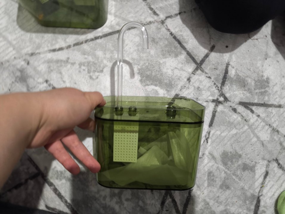 Kedi şelalesi - Görsel 2