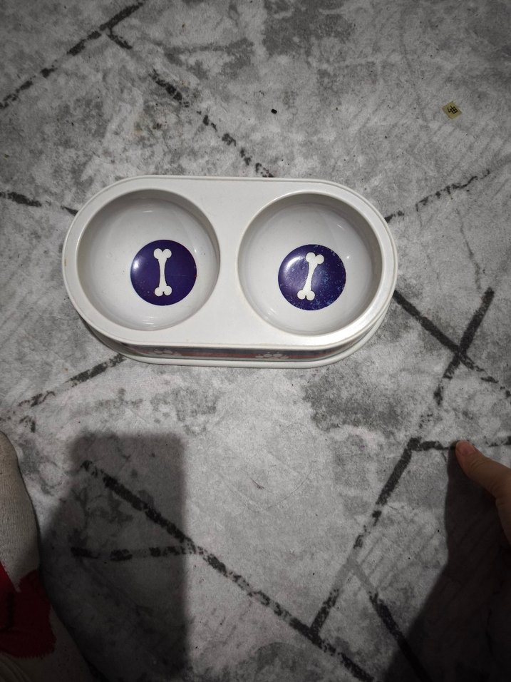 Çok Renkli kedi köpek Mama Kabı - Görsel 2