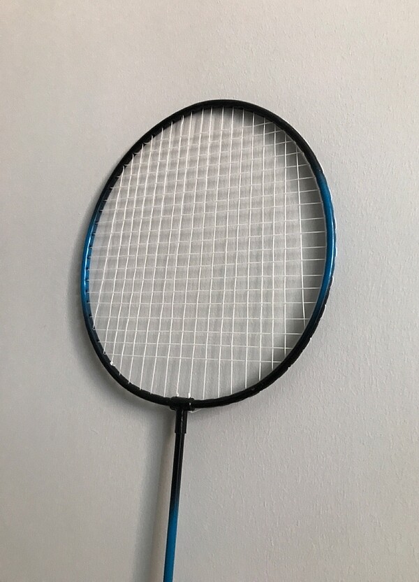 Delta badminton — görsel 3/5