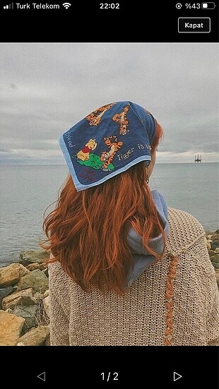 Winnie the pooh bandana