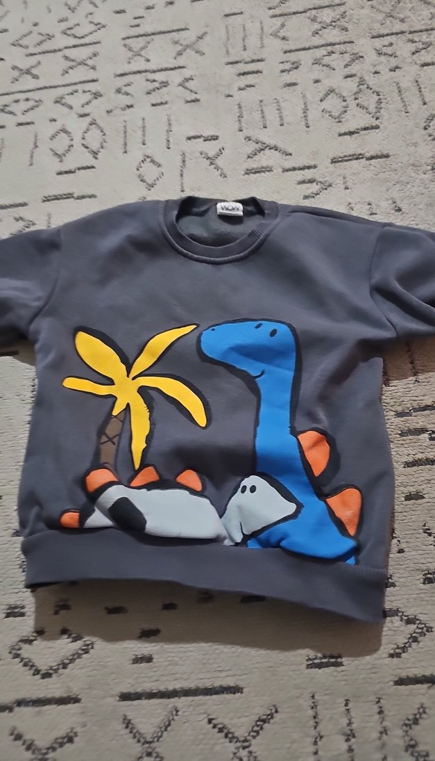 Gri Erkek Çocuk Uzun Kollu Sweatshirt - Görsel 2