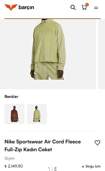 Nike air fıstık yeşili ceket