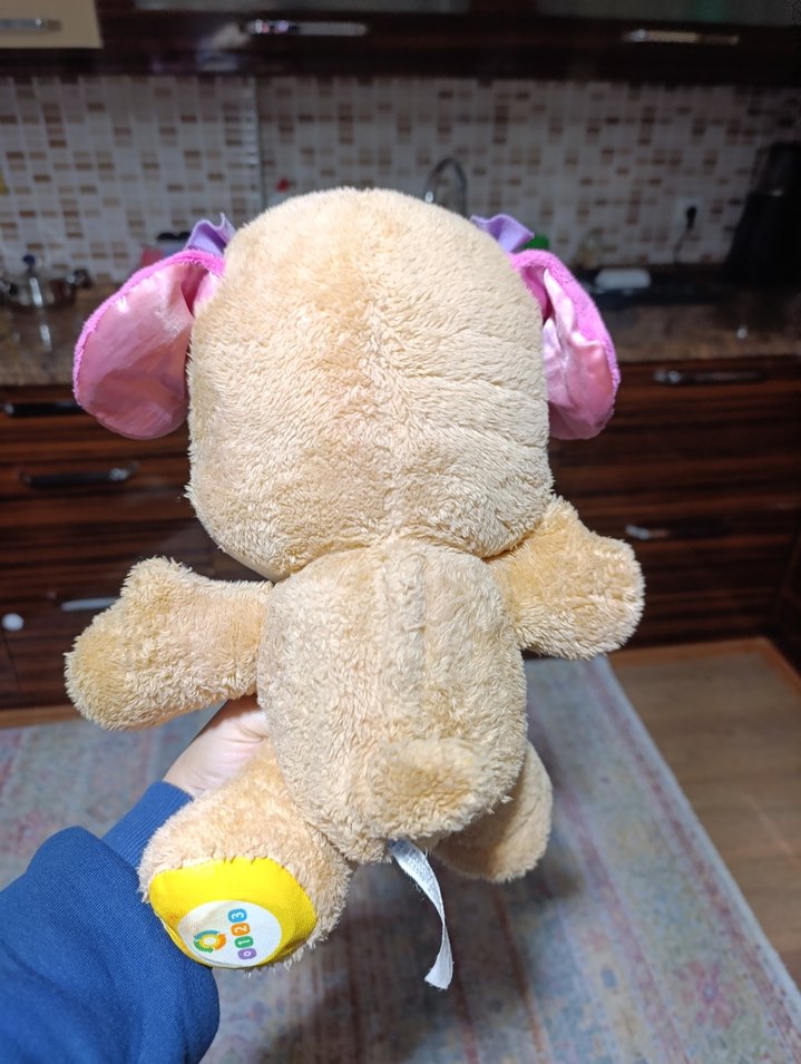 Renkli Eğitici Peluş Köpek Oyuncak - Görsel 2