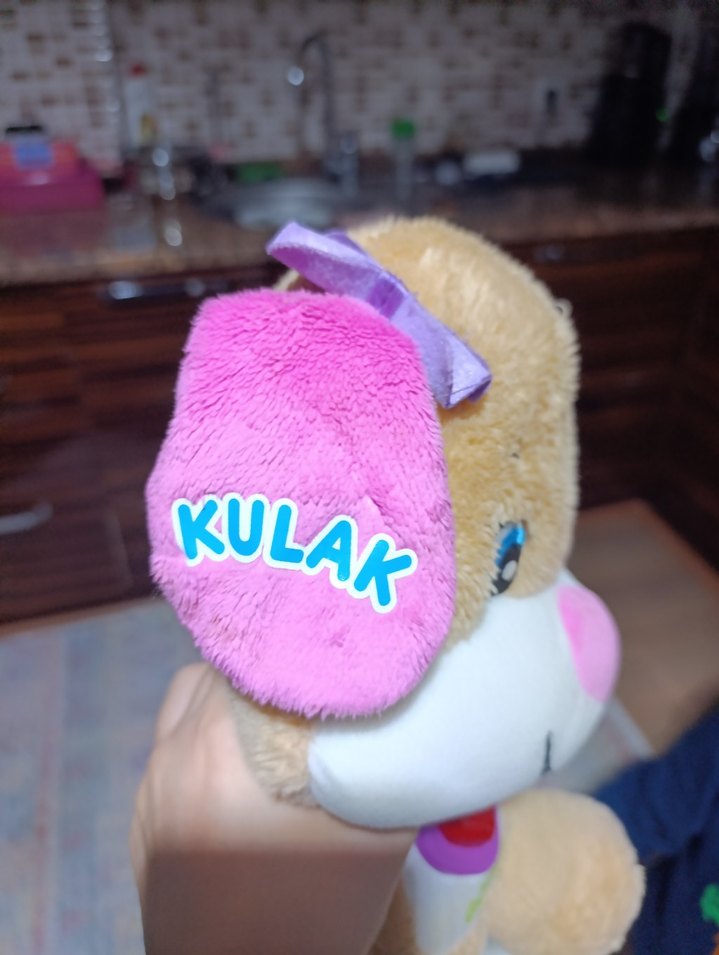 Renkli Eğitici Peluş Köpek Oyuncak - Görsel 3