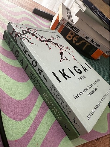 İkigai ana kitap ve uygulama rehberi