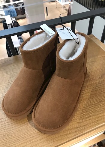 Ugg 36