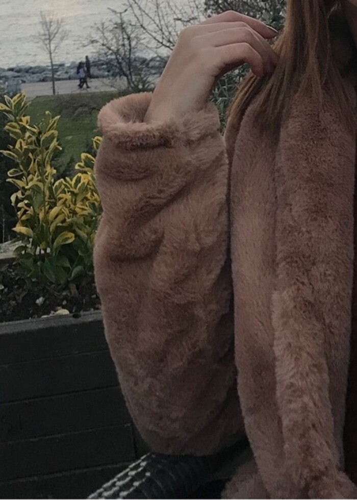 Kaban kürk - Görsel 2