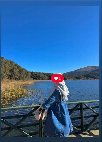 l Beden mavi Renk Düğmeli Midi Mavi Baskılı Denim Ceket