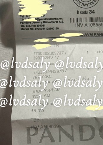 Pandora Ayıcık Charm ve Moments Bileklik - Görsel 6