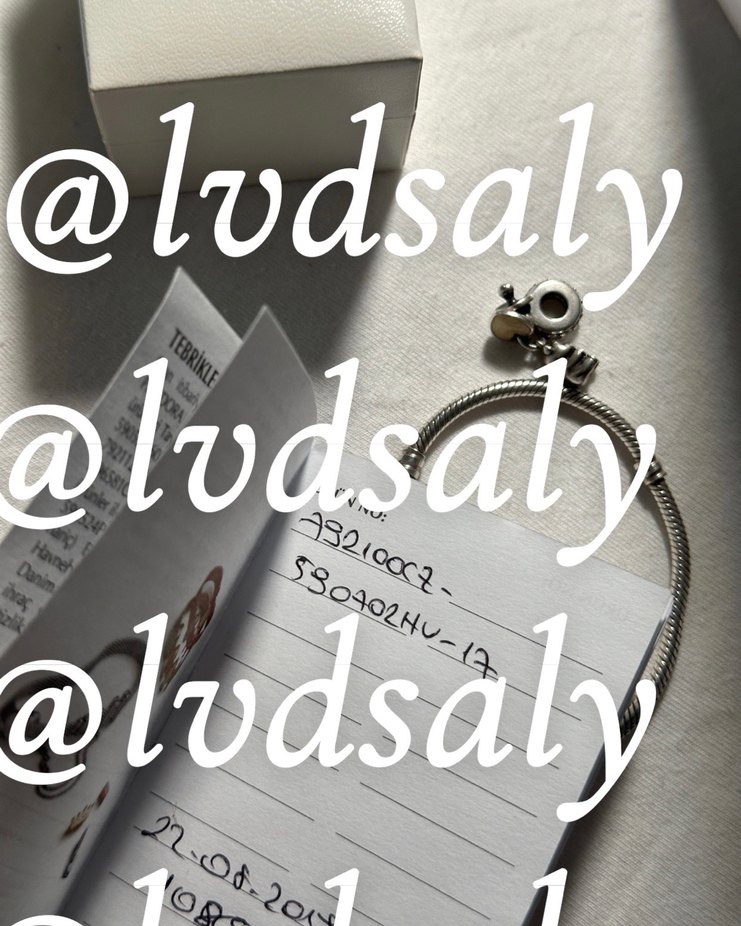 Pandora Ayıcık Charm ve Moments Bileklik - Görsel 2