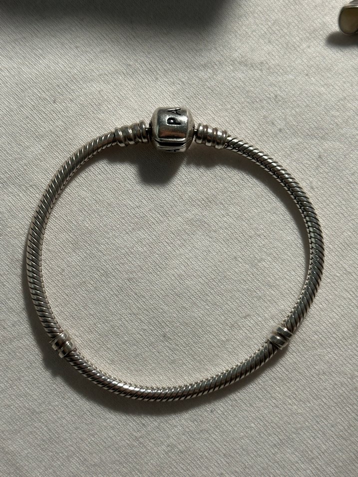 Pandora Ayıcık Charm ve Moments Bileklik - Görsel 3