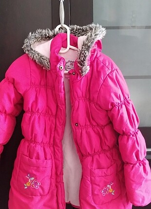  Mont pembe
