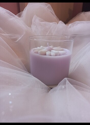  Beden Papatya soya wax dekoratif mum