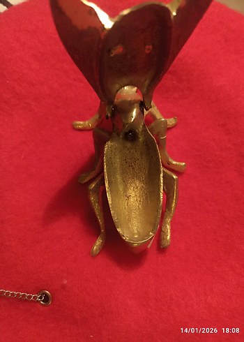 pirinç sinek küllük - Görsel 3