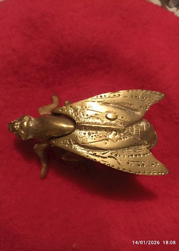 pirinç sinek küllük - Görsel 2