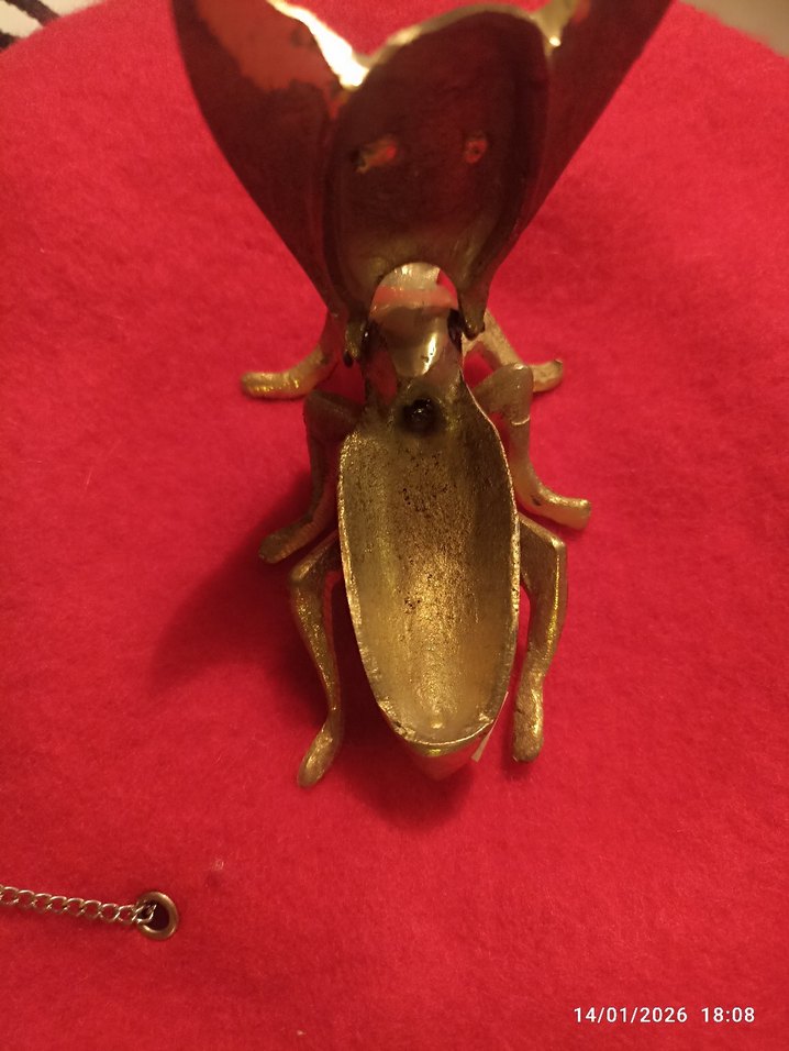 pirinç sinek küllük - Görsel 3