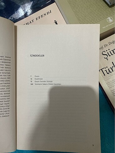 Beden Eleştiri terimleri sözlüğü