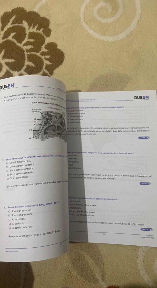 DUSEM Anatomi Çalışma Soruları Kitabı - Görsel 2