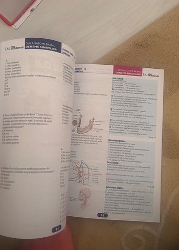Anatomi DUS Branş Denemeleri Kitabı - Görsel 2