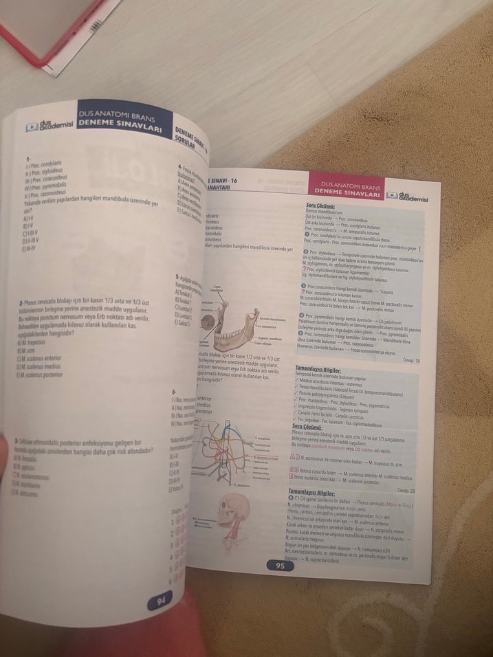 Anatomi DUS Branş Denemeleri Kitabı - Görsel 2