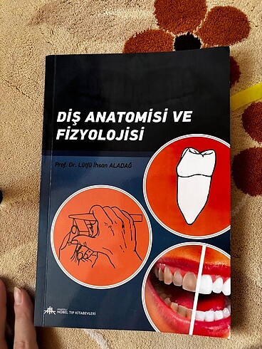 Diş anatomisi ve fizyolojisi