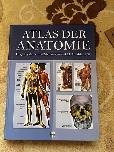Atlas der anatomie