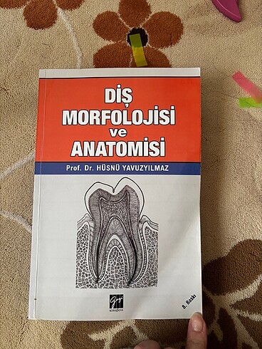 Diş morfolojisi ve anatomisi