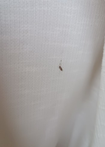 Erkek  Blazer Ceket - Görsel 4