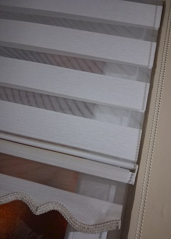 zebra berde Perde - Görsel 2