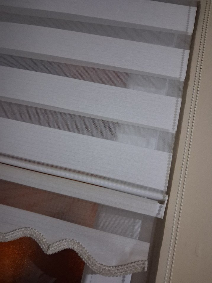 zebra berde Perde - Görsel 2