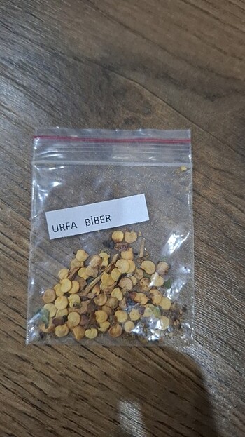 Ata Tohumu Urfa Biberi