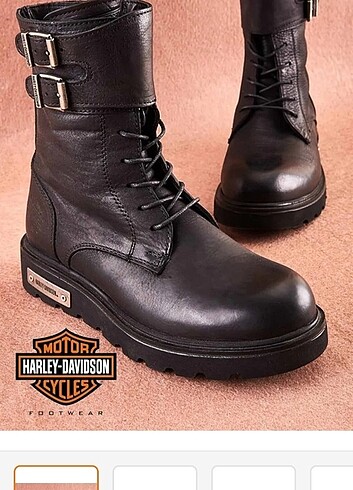 HARLEY DAVIDSON ADEN BOT