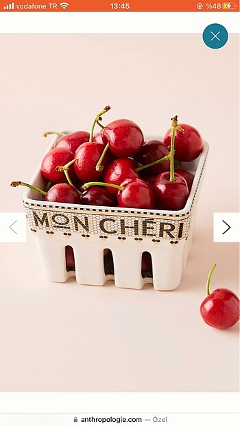 Anthropologie Kase