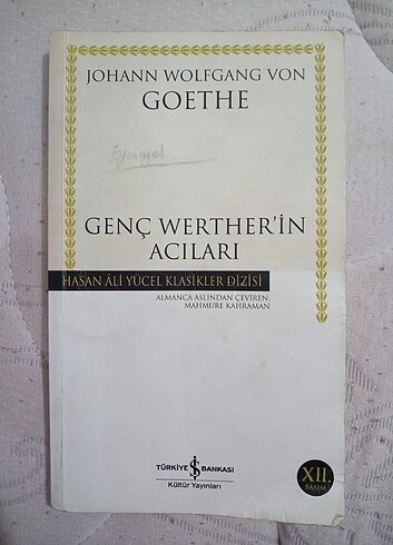 GENÇ WERTHER'İN ACILARI | JOHANN WOLFGANG VON GOETHE | Hasan Ali