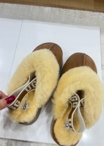 ugg terlik