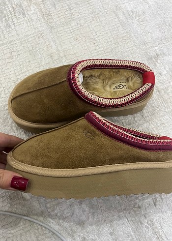 ugg terlik