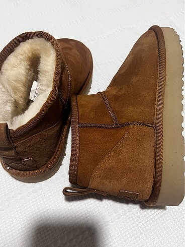 37 Beden ugg bot