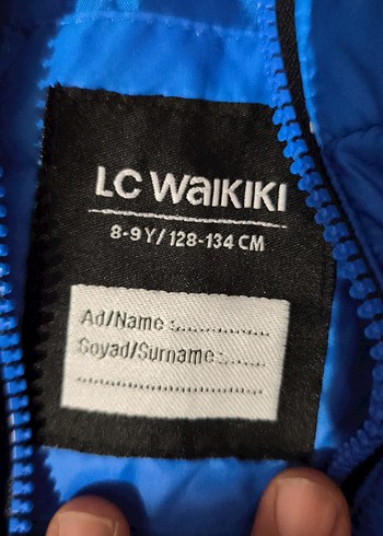 Erkek Çocuk Mavi Kapüşonlu Fermuarlı Mont - Görsel 2