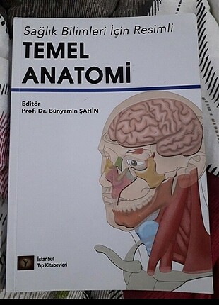 Temel anatomi