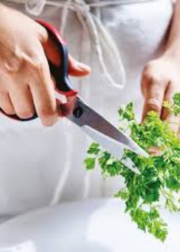 Tupperware mutfak makası  - Görsel 2