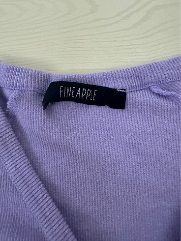 Diğer Fineapple crop