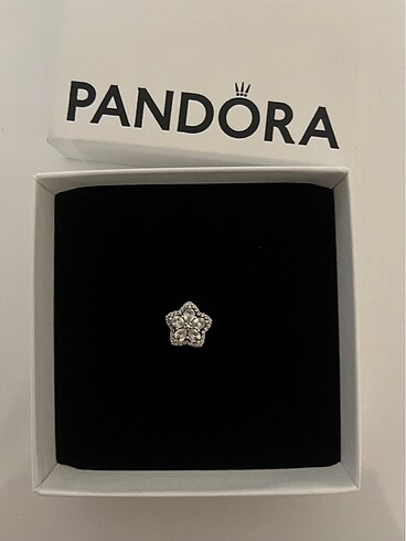 Pandora Pandora bileklik ve charm