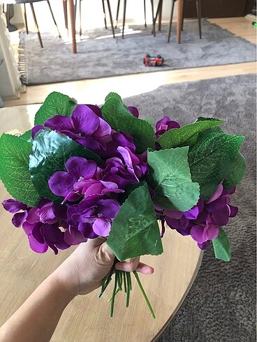 Yapay ortanca - Görsel 2