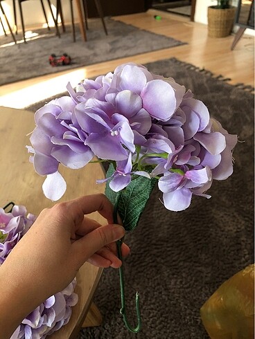 Yapay ortanca - Görsel 5