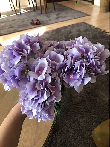 Yapay ortanca - Görsel 7