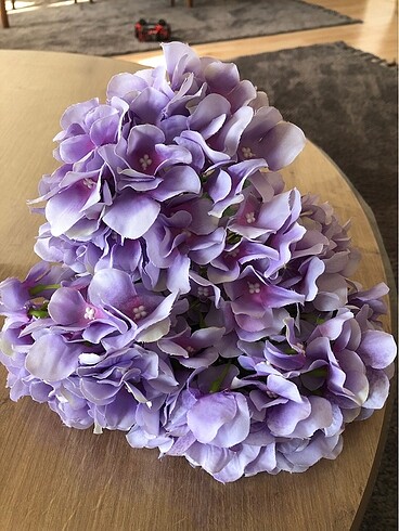 Yapay ortanca - Görsel 6