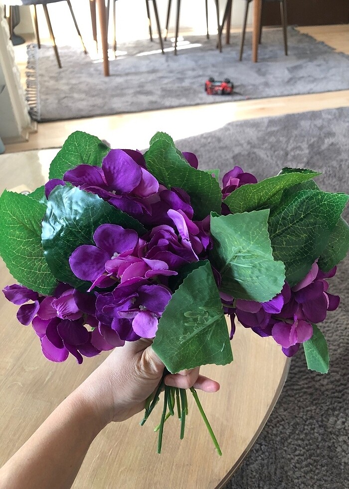 Yapay ortanca - Görsel 2