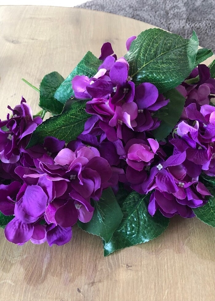 Yapay ortanca - Görsel 4